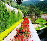 Paisagismo em Caçapava